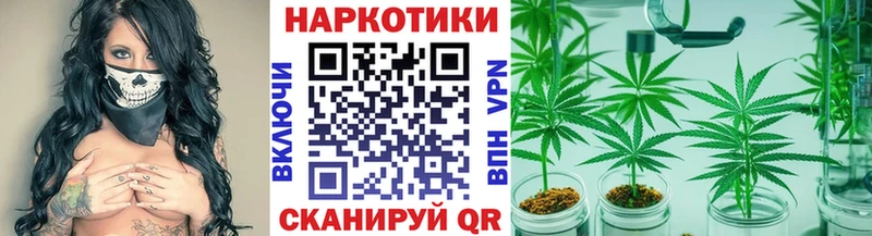 Купить наркотик Ессентукская Конопля  Cocaine  Псилоцибиновые грибы  Экстази  ГАШИШ  Меф мяу мяу 