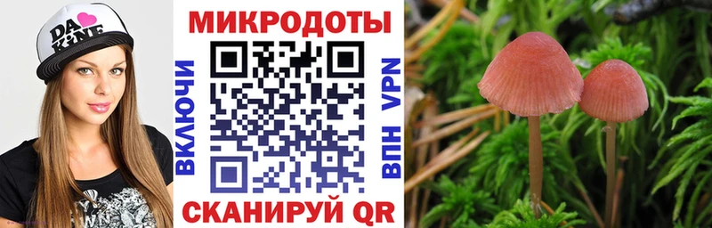 продажа наркотиков  Ессентукская  Псилоцибиновые грибы Cubensis 